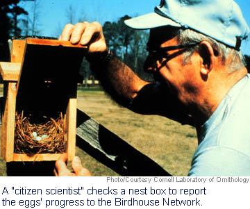 Nest Box Picture