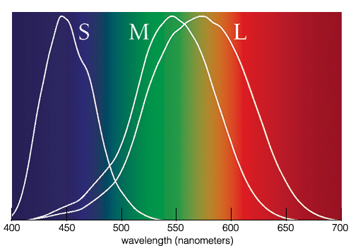 Visual Spectrum