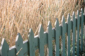 white picket fence