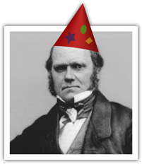 Darwin with a birthday hat