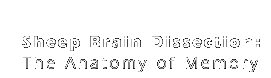 Sheep Brain Dissection: The Anaotmy of Memory
