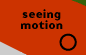 seeing motion