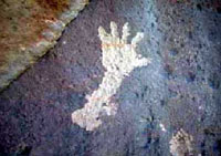 hand petroglyph