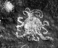 petroglyph