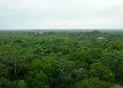 View from El Castillo