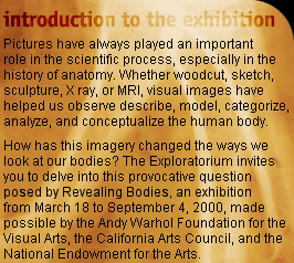 Introduction to the Exhibition