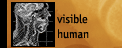 Visible Human
