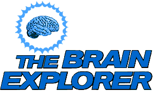 Brain Explorer: Tic Tac Toe
