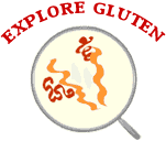 Explore Gluten