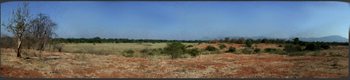 Lower Zambezi National Park