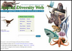 Animal Diversity Web