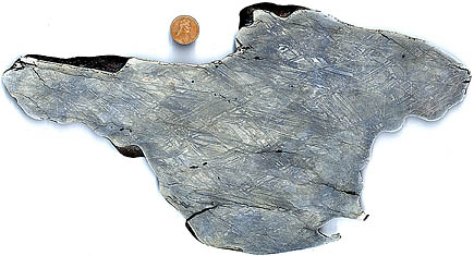 Nickel Iron Meteorite