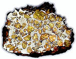 Stony iron meteorite