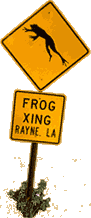 "Frog X-ing"
