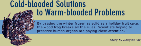 Cold-blooded Solutions to Warm-blooded Problems