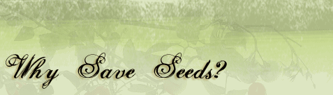 Why Save Seeds?