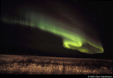 Green curtain aurora over a field