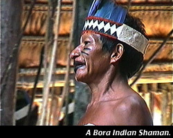 Bora chief