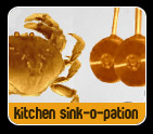 kitchen sink-o-pation