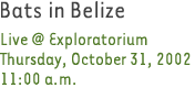 Bats in Belize. Live @ Exploratorium. Thursday, Oct.31, 2002, 11a.m.