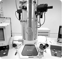 image: scanning electron microscope