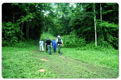 Scientists on location in Belize