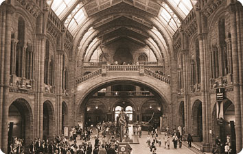 image: Natural History Museum