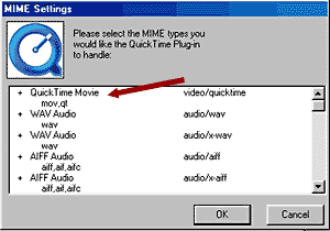 Quick Time MIME settings panel