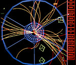 Hadrons in the Delphi detector