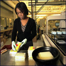 Worker in the Genome Center