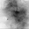 Negative image of the Crab Nebula 