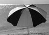 black and white photo of beach umbrella's green tones