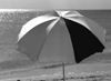 black and white photo of beach umbrella's red tones