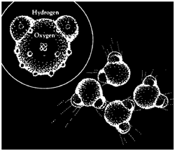 surface tension of water molecules