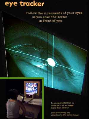 The Exploratorium: seeing | seeing in context