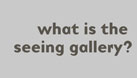 what is the seeing gallery?