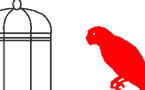 bird in a cage