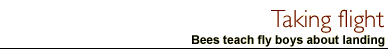 emulating bee flight
