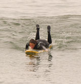 Lori catching a wave