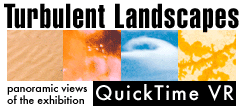 Turbulent Landscapes panoramic